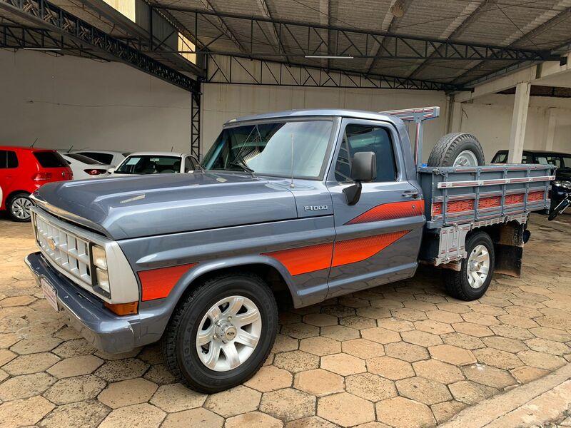 F-1000 S CINZA 